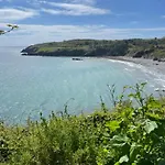 Seaitall